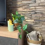 Vakantiehuis By The Pool & Garden Mukarschow